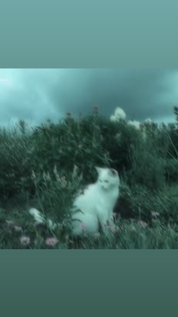 しゆのへや