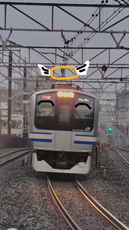 E217系直流近郊型電動客車教信仰会
