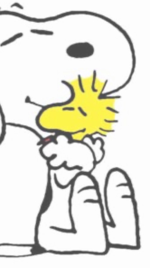 すぬオプ