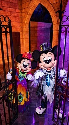2026年Dハロ参加者の集い