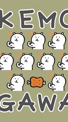 FSけもがわ
