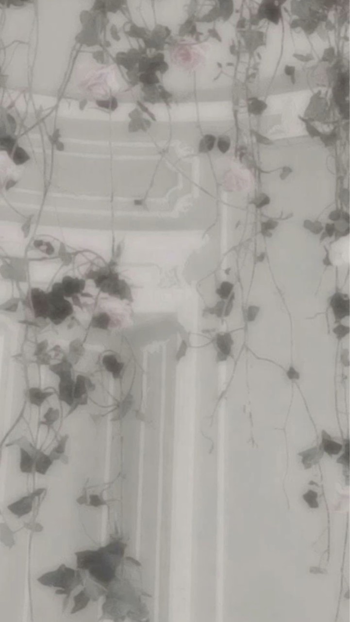 𓏸𓏸　しなゐ　ト　　~　　sxxn　夢　　~