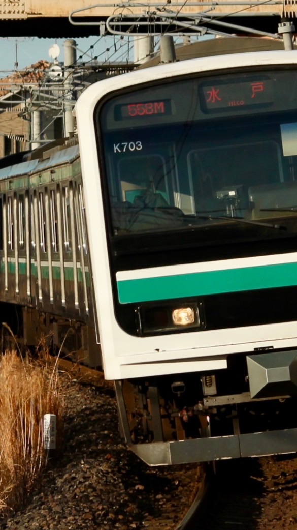 常磐線E501系愛好家集まれ〜