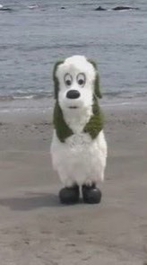 がにえふ
