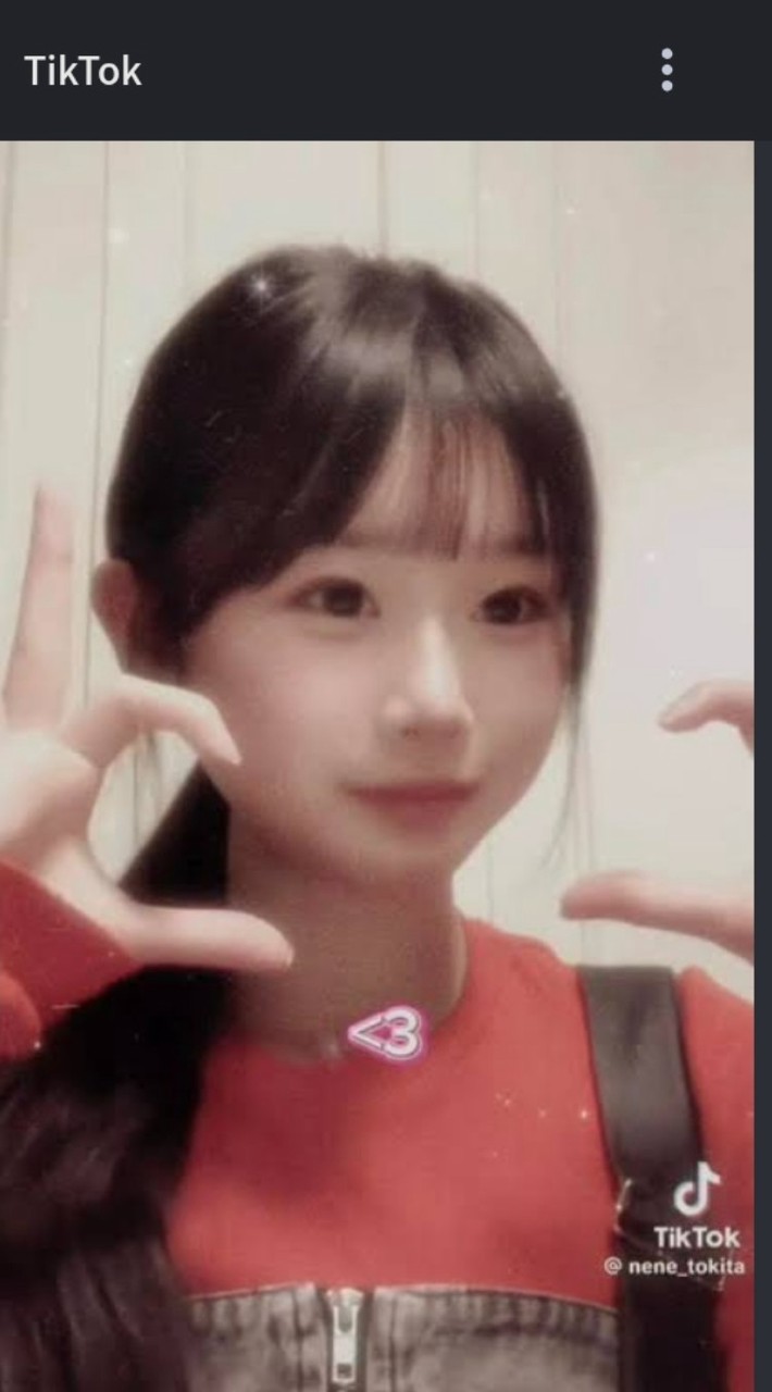 ときねね推し