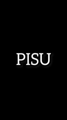 PISU e-sports フォートナイトクラン