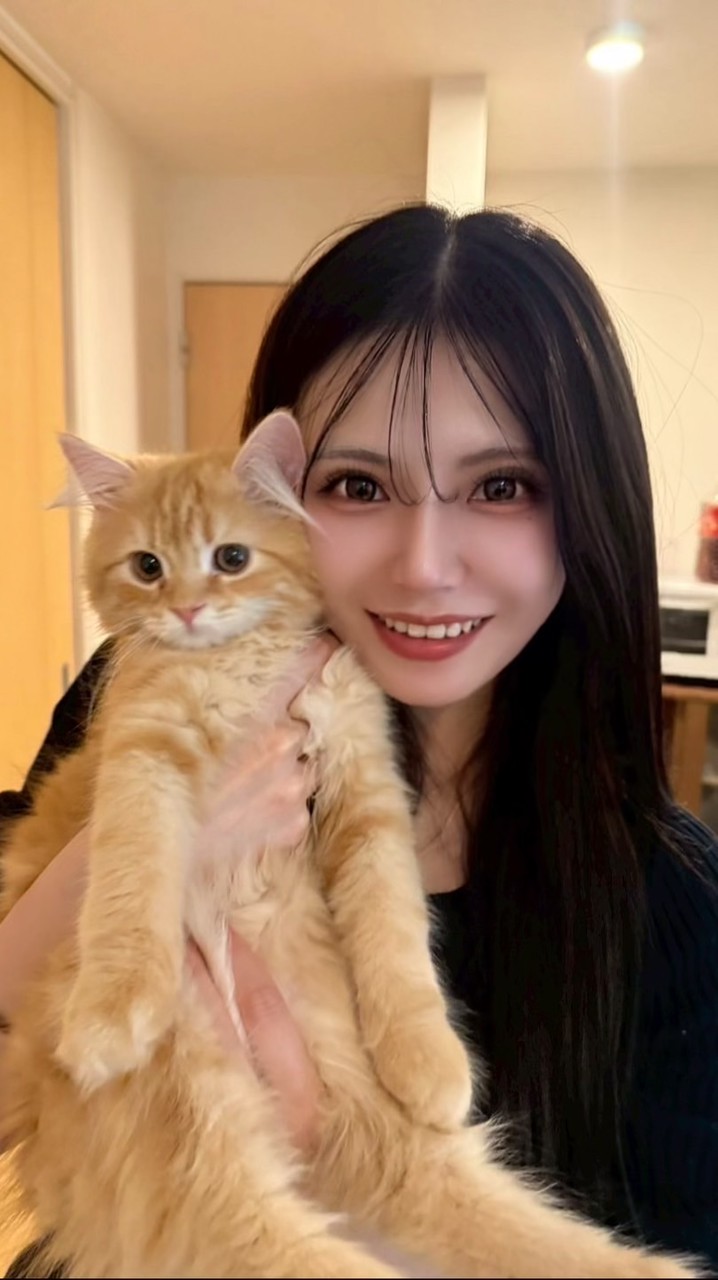 しほんぬ🐰🌟団結🔥