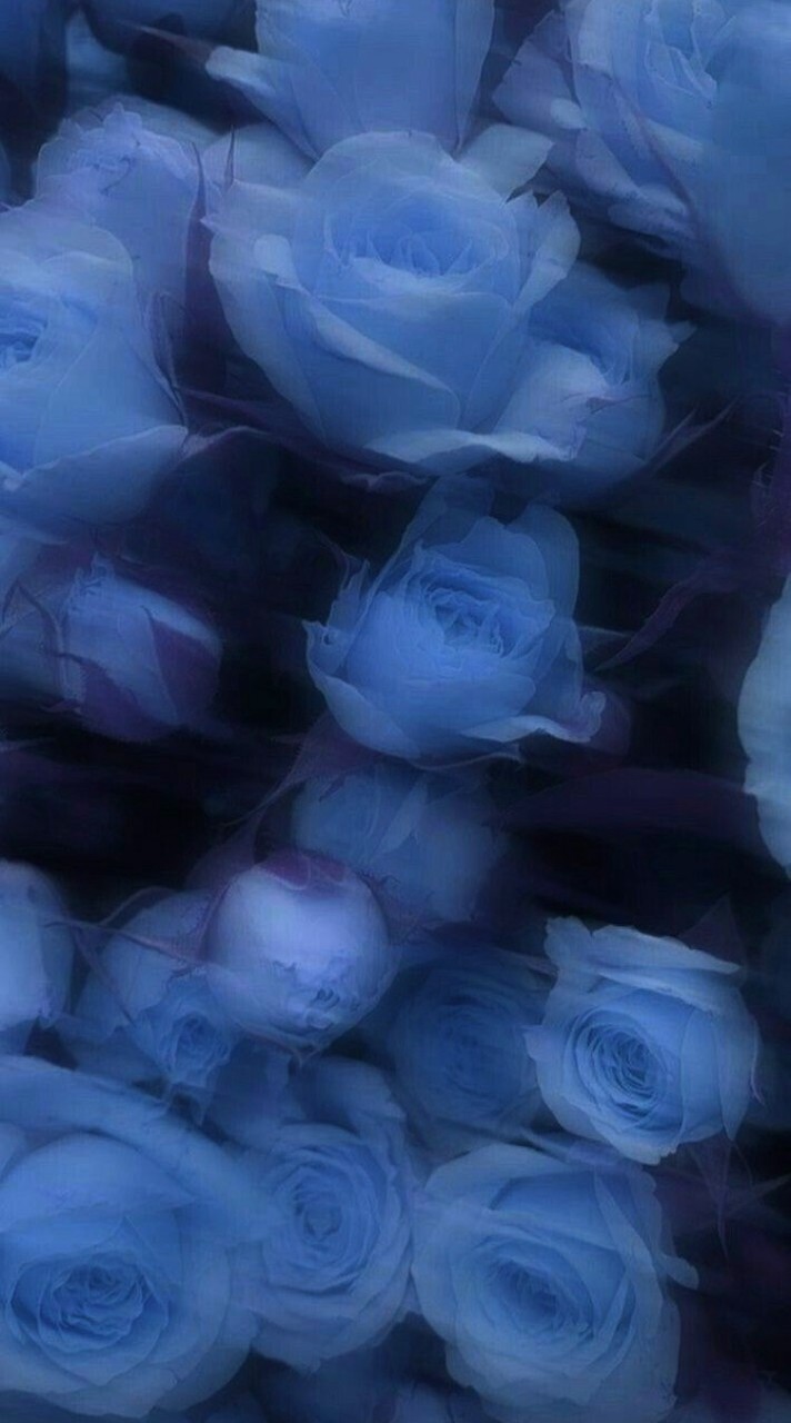 愛シ逢ゐ