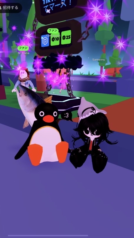 さめいっぬ！かめいぬ