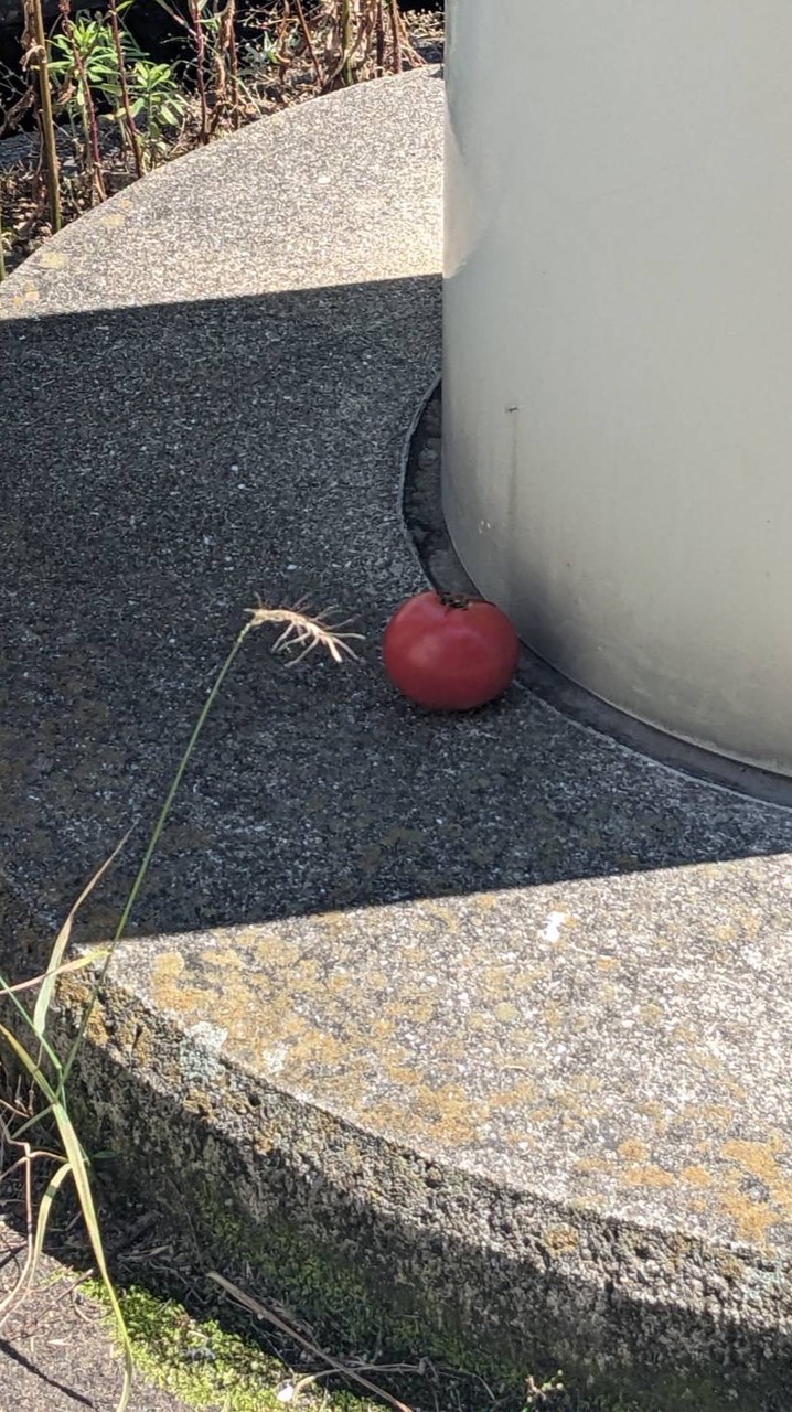 全也って激緩なんだよね